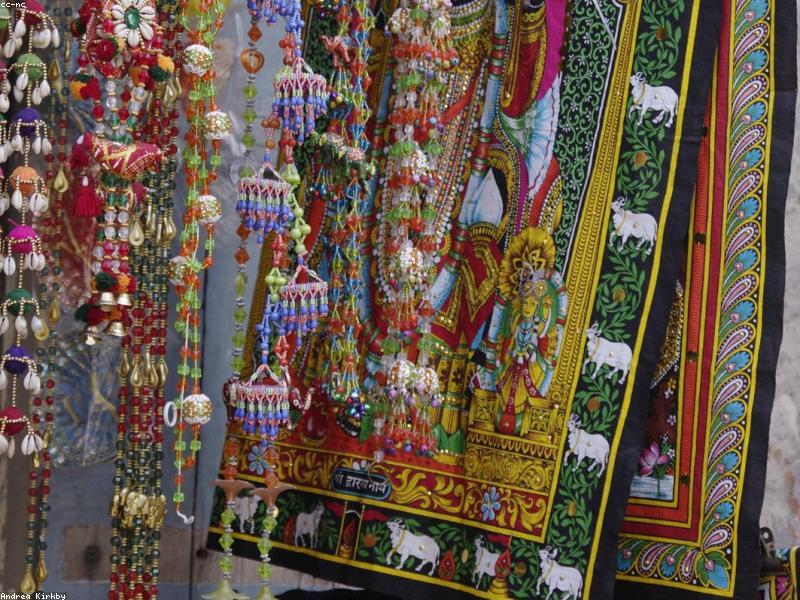 Rudra Tours & Travels guest trip moment in Dwarka Somnath 3