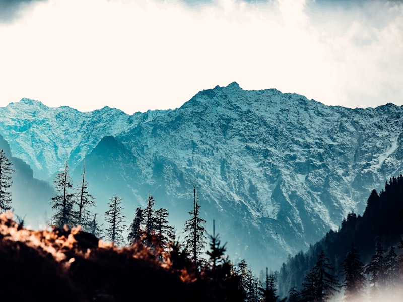 Rudra Tours & Travels guest trip moment in Mussoorie 4